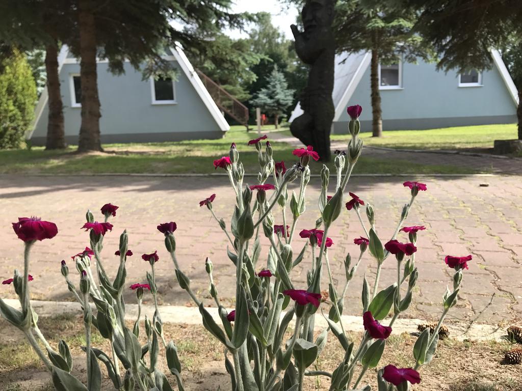 Zielona Noc Casa de hóspedes Dziwnówek Exterior foto